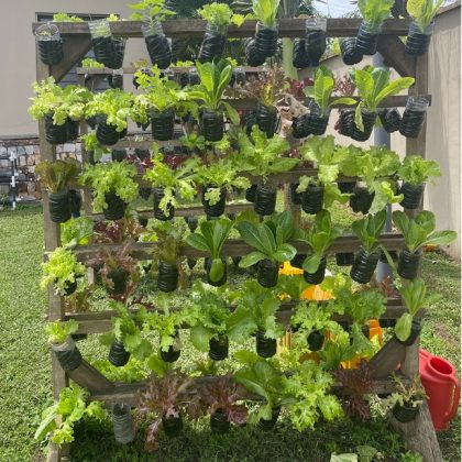 Soil-based